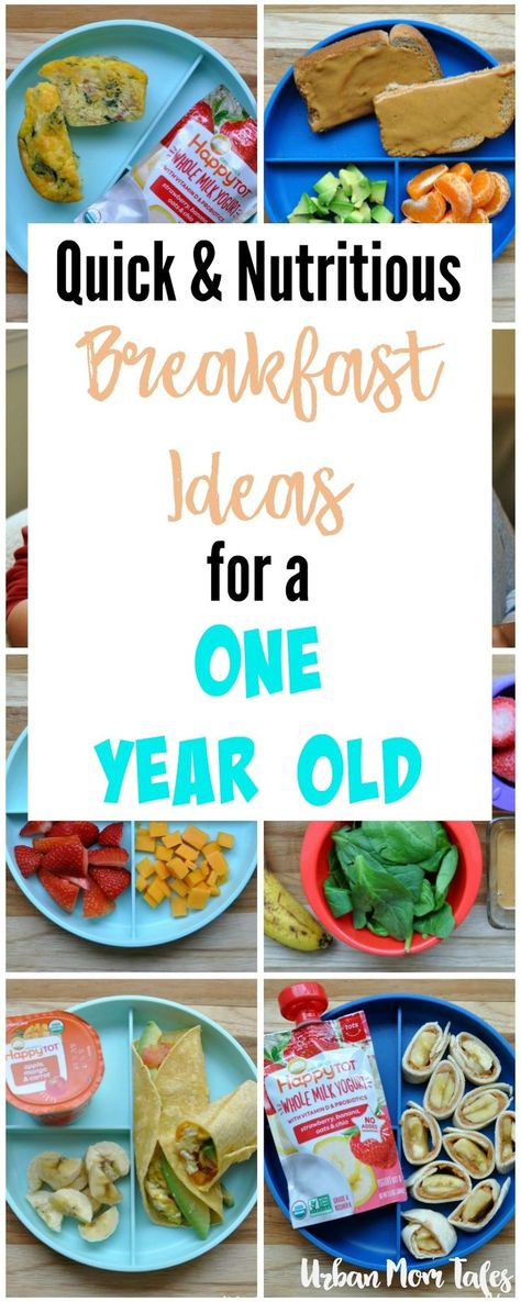 Quick & Nutritious Breakfast Ideas for a One Year Old via @urbanmomtales Breakfast For One Year Old, One Year Old Foods, Quick Nutritious Breakfast, Nutritious Breakfast Ideas, Breakfast For One, Toddler Breakfast, Healthy Meal Ideas, Healthy Toddler Meals, Feeding Toddlers