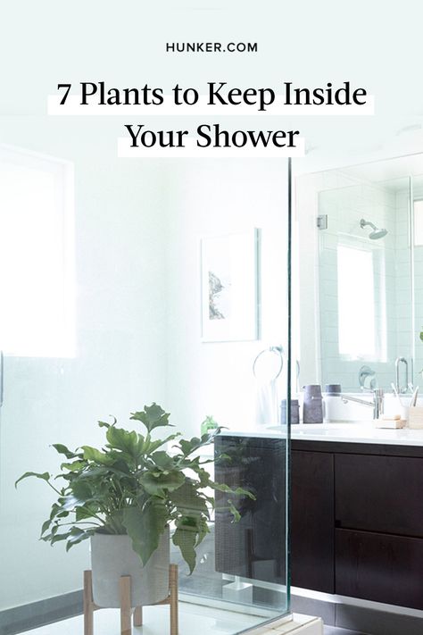 Bathroom plants improve the bathroom air quality, absorb excess moisture, eliminate bacteria, and — best of all — transform the shower stall into a spa-like space of serenity and calm. #hunkerhome #plants #shower #showerplants #spa Wet Room Bathroom Plants, Indoor Shower With Plants, Bathroom Plant Shelf Ideas, Luxury Bathroom With Plants, Plants In Wet Room, Best Spa Bathrooms, Plants Inside Shower Ideas, Plants In Shower Ideas Modern, Decorate Shower Bathroom