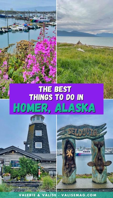 During your Alaska trip, you simply have to visit Homer! Here are the best things to do in Homer, and the surrounding area. Alaska Itinerary, Talkeetna Alaska, Alaska Travel Guide, Alaska Summer, Alaska Road Trip, Trip To Alaska, Alaska Northern Lights, Homer Alaska, Alaska Trip