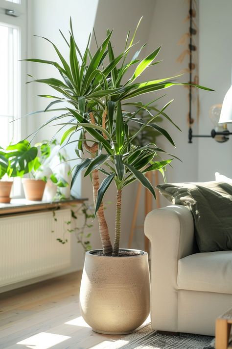 10 Stylish Large Plants for Living Rooms For A Fresh Look Planters For Living Room, Lounge Plants Decor, Living Room Corner Plants, Dining Room Plants, Tall House Plants, Indoor Plants Decor Living Room, Plant Decor Living Room, Big Indoor Plants, Dining Room Corner