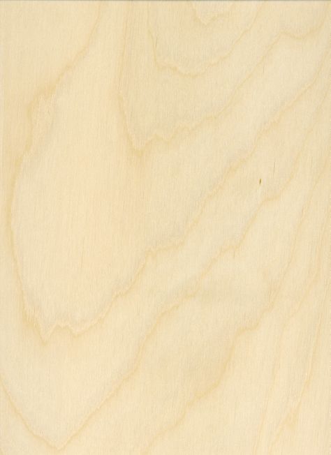 Birch Wood Texture, Glasgow Map, Plywood Texture, Material Color Palette, Wood Texture Seamless, Veneer Texture, Victoria House, Wall Paneling Diy, Birch Veneer