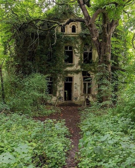 Apocalypse Aesthetic, W.i.t.c.h Aesthetic, Cottage In The Woods, Abandoned Mansions, Forest House, A Level Art, Dream House Exterior, Abandoned Buildings, Art Inspiration Painting