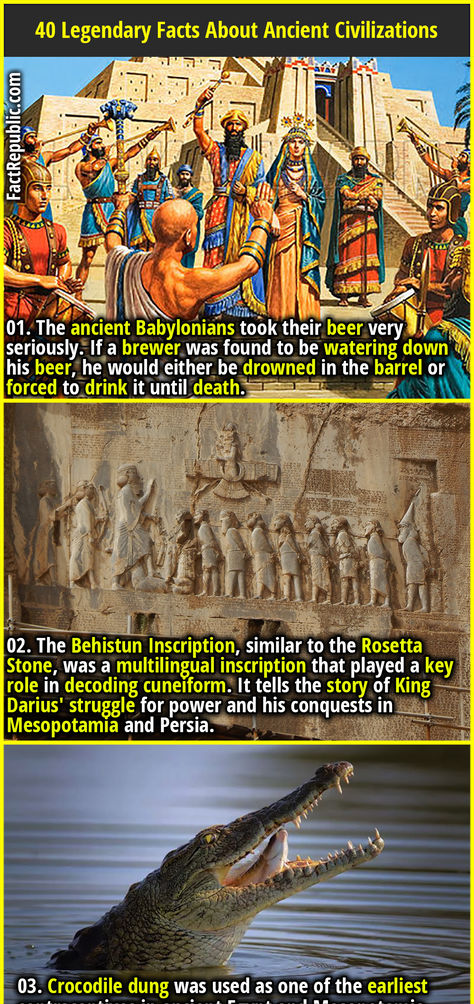 World History Facts, Ancient Discoveries, Fact Republic, Trivia Facts, History Facts Interesting, Ancient Technology, Unbelievable Facts, Mystery Of History, Random Facts