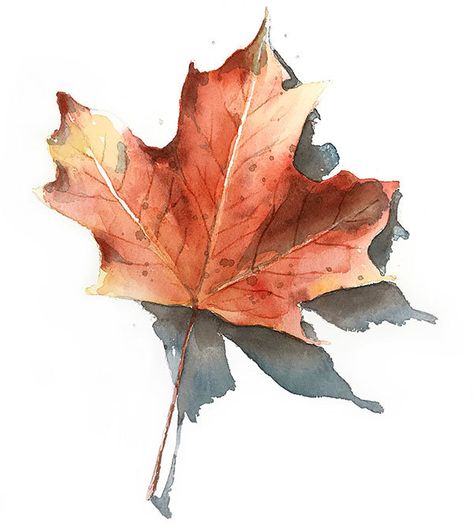 finished-realistic-watercolor-fall-leaf Painting Leaves Watercolor, Leafs Watercolor, Easy Watercolor Fall Leaves, Painting On Leaves, Paint Fall Leaves, Autumn Leaf Painting, Autumn Leaves Painting, Autumn Leaves Painting Watercolors, Paint Autumn