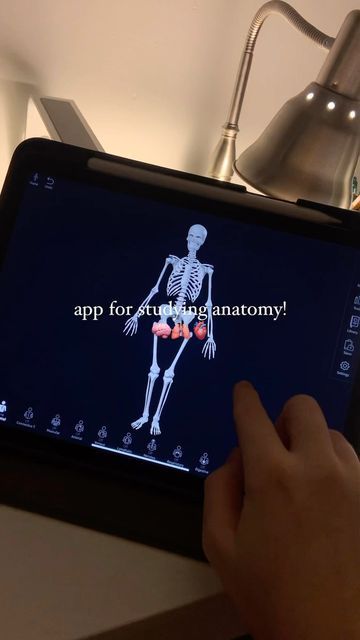 Emily • Medical Student on Instagram: "App for studying anatomy: Complete Anatomy!🧠🫀🫁This app does SO much - seriously I didn’t even cover the half of it in this video. There is a price for the app, but in my opinion it’s definitely worth it! I actually split the price with a friend because it can be downloaded on two different devices under the same account. However, keep in mind that if you have an anatomy practical portion of your exam, this should not be your only method of studying. It’s so important to actually go into the anatomy lab to look at these structures in the donor bodies because they sadly won’t look like the perfect diagrams🥲 BUT when you’re not in lab this app is great for some at-home anatomy studying. #medschool #medstudent #medicalschool #medicalstudent #premed #s Apps For Anatomy, Body Diagram Anatomy, Anatomy Apps, Anatomy Lab, How To Study Anatomy, Anatomy App, Body Diagram, Study Apps, Medical Student Study