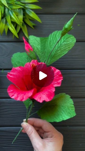 Crepe Paper Decorations, Crepe Paper Crafts, Crepe Paper Flowers Diy, Crepe Paper Flower, Fleurs Diy, Hibiscus Plant, Paper Craft Tutorials, Paper Flower Crafts, How To Make Paper Flowers