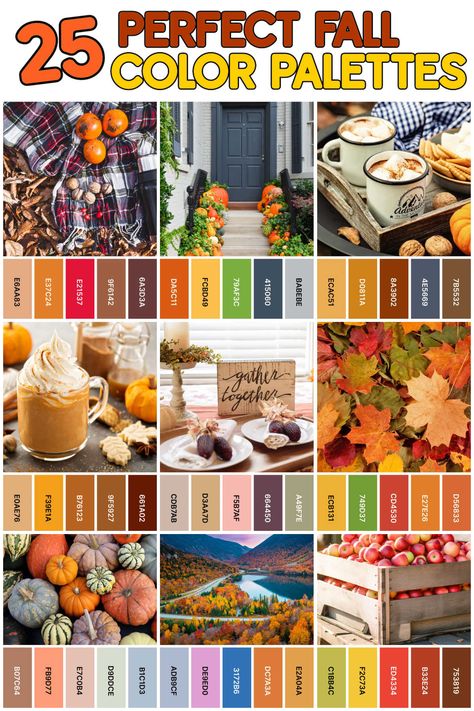 Fall Mood Board Color Palettes, Cool Tone Fall Color Palette, Fall Garden Color Palette, Fall Beach Color Palette, Family Picture Palette, Big Family Photoshoot Color Schemes Fall, Color Palette For Fall Family Pictures, Canva Fall Color Palette, Color Scheme For Fall Family Pictures