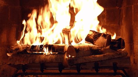 Fireplace Gif, Hump Day Gif, Clear Shower Door, How To Make Fire, Power Out, Real Fire, Yule Log, Scenery Pictures, Nature Sounds