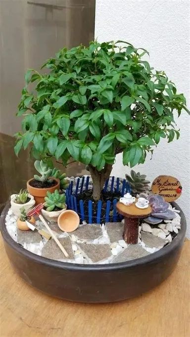 Indoor Fairy Garden Ideas, Indoor Fairy Garden, Indoor Fairy Gardens, Fairy Garden Ideas, Mini Zen Garden, نباتات منزلية, Fairy Garden Designs, Mini Fairy Garden, Dish Garden