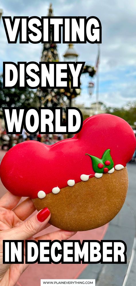 Tips For Visiting Disney World in December Disney Mickey Christmas, Disney At Christmas Tips, Disney During Christmas, Disney In Winter, Christmas In Disney World, Disneyland In December, Disney World December, Disney Christmas Trip, Disney In December