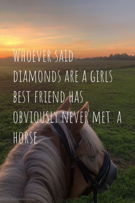 Horse Sayings Quotes, Riding Horses Aesthetic, Horse Girl Quotes, Horse Love Quotes, Horses Aesthetics, Cute Horse Quotes, Aesthetic Horse Riding, Windsong Ranch, Horses Aesthetic