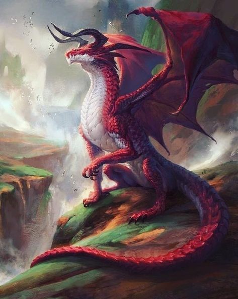 Legendary Dragons, Male Oc, Dragon Artwork Fantasy, Fantasy Beasts, Beautiful Dragon, 다크 판타지, Dragon Pictures, Fantasy Monster, Fantasy Creatures Art