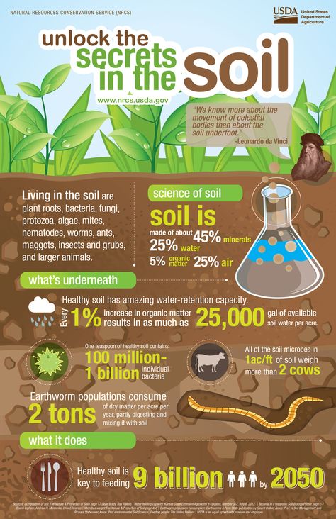 Unlock the Secrets in the Soil - Regeneration International Soil Poster Ideas, Causes Of Soil Pollution, Soil Pollution Images For Project, Soil Pollution Poster, Soil Pollution Drawing, Save Soil Posters, Land Pollution Poster, Soil Conservation Poster Ideas, Land Pollution