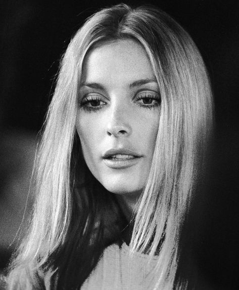 Sharon Tate by Peter Bruchmann. Sherilyn Fenn, Model Tips, Roman Polanski, Sharon Tate, Actrices Hollywood, Irina Shayk, George Harrison, Natalie Portman, Jessica Alba