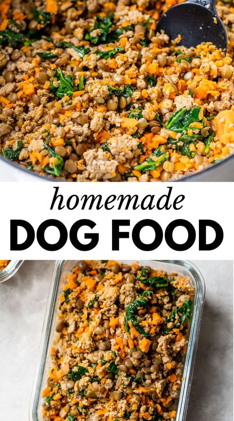 Dog Food Recipes Crockpot, Foods Dogs Can Eat, Pet Remedies, Easy Dog Treat Recipes, Diy Dog Food, Make Dog Food, Healthy Dog Treats Homemade, Dog Foods, Dog Treats Homemade Recipes