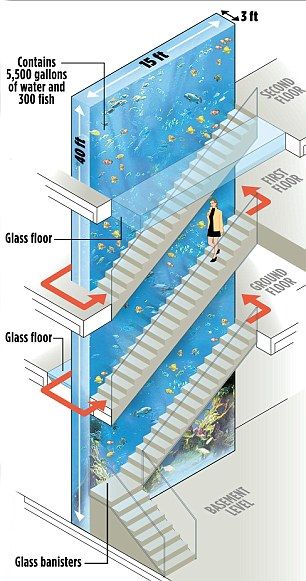 Thierry Henry rebuilds his £6,000,000.00,- home to fit in FOUR-STOREY 5,000 gallon tank! Luxury Fish Tanks, Aquariums In Homes, Luxury Houses Mansions Interiors, Aquarium Design Fish Tanks, Luxury Aquarium, Aquarium Interior, Minecraft Aquarium, Dream Aquarium, Aquarium Architecture