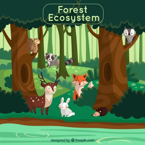 Forest ecosystem concept with lovely ani... | Free Vector #Freepik #freevector #tree #design #green #nature Jungle Animals Party, Illustration Animals, Nursery Safari, Forest Ecosystem, Forest Nursery, Safari Animal Prints, Autumn Illustration, Forest Illustration, Cute Monkey