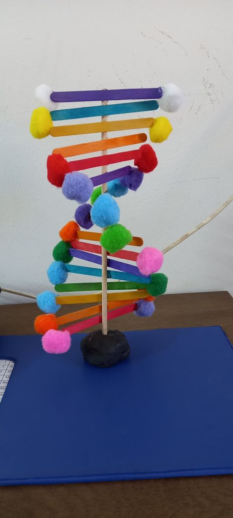 Homemade Dna Model, Genetics Project Ideas, Dna Strand Model, Creative Dna Model Project, Dna Models Projects, Dna Strand Project, Dna School Project, Easy Dna Model Project, How To Make Dna Model