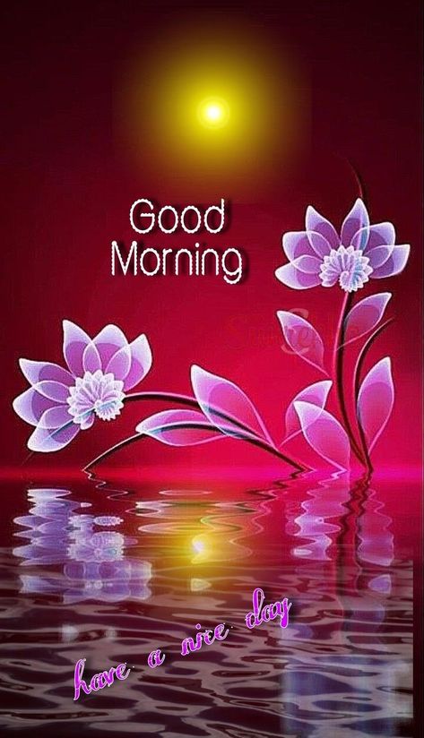 Good Morning Status, Good Night Friends Images, Latest Good Morning Images, Daily Wishes, Good Morning Kisses, Latest Good Morning, Morning Sweetheart, Morning Status, Beautiful Good Morning