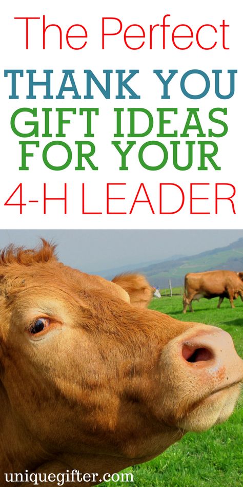 Thank You Gift Ideas for Your 4-H Leader | Presents for 4H leaders | How to thank a 4-H leader | Head, Hands, Heart and Health | Rural Living gifts | Young farmer gifts | kid's club | 4h Gift Ideas, 4h Leader Gifts, 4-h Thank You Gifts, Ag Teacher Gifts, 4 H Project Ideas Unique, 4h Leader, 4-h Poster Ideas, 4h Livestock, 4 H Clover