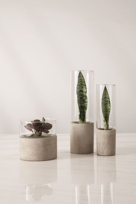 Plant Vase Ideas, Cement Decor, Concrete Decoration, Concrete Home Decor, Decoration Beton, Plant Pot Design, Plant Pot Diy, Cement Diy, Concrete Diy Projects