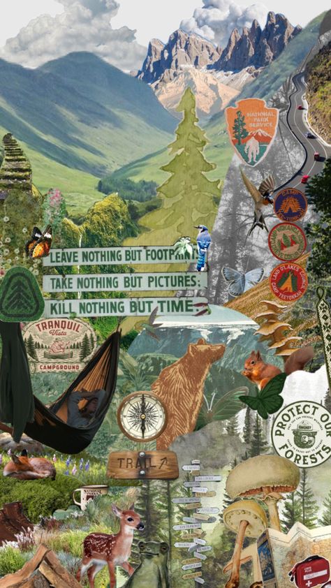 National Park Service Aesthetic collage background camping van life vibes inspiration nature mountains wildlife Granola Aesthetic Wallpaper, Aesthetic Collage Background, Service Aesthetic, Recital Poster, Camping Wallpaper, Mountain Aesthetic, Granola Girl Aesthetic, Mountains Aesthetic, Life Vibes