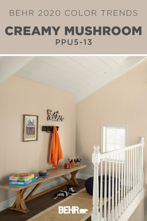 BEHR® Paint in Creamy Mushroom is an eclectic and versatile greige neutral. As part of the BEHR® 2020 Color Trends Palette, it pairs beautifully with a variety of accent colors—making it easy to customize to fit your interior design style. Click below for full color details to learn more. Creamy Mushroom Behr Paint, Behr Creamy Mushroom, Boat Bedroom, Kids Room Paint Colors, Basement Paint, Behr Colors, Behr Paint Colors, Mushroom Paint, Paint Inspo