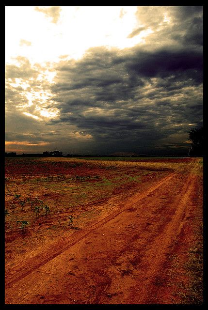 Red dirt road near Huntsville Alabama USA Dirt Girl, Usa Road Trip Ideas, Usa Road Trip, Road Trip Ideas, North Alabama, Red Dirt, Us Road Trip, Sweet Home Alabama, Dirt Road