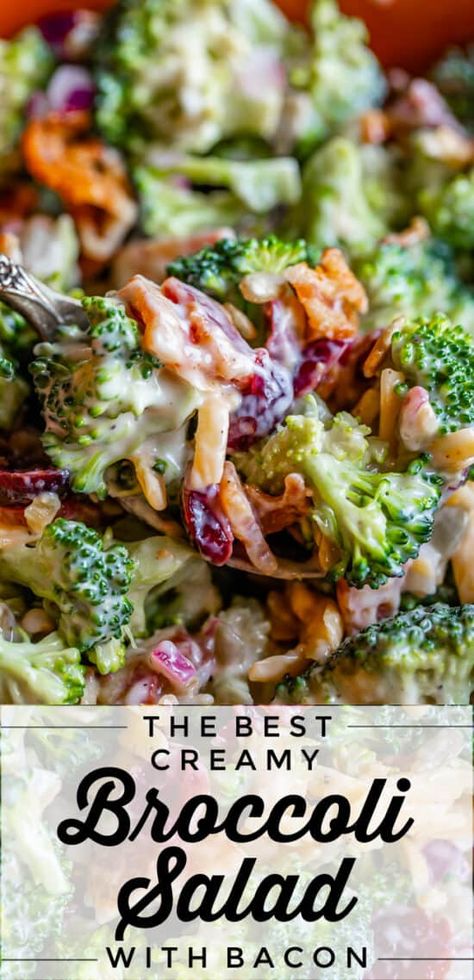 Broccoli Salad Recipe Easy, Broccoli Bacon Salad, Best Broccoli Salad, Broccoli Salad With Bacon, Creamy Broccoli Salad, The Best Broccoli, Best Broccoli, Broccoli Bacon, Broccoli Salad Bacon