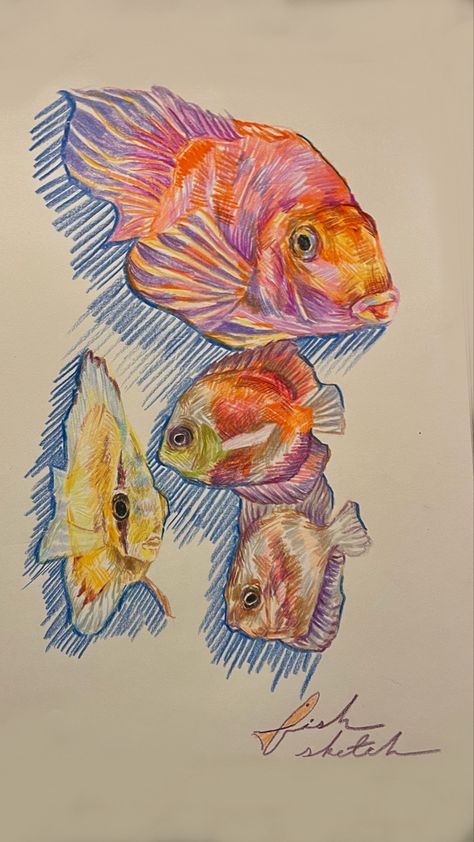 aesthetic drawing, art inspo, sketch inspo, pencil crayon sketch, colorful sketch, realistic style sketch, fish drawing, ap art, advanced art inspo, art portfolio inspo, daily sketch inspo Underwater Colored Pencil Drawing, Easy Drawing Colored Pencils, Color Pencils Sketch, Pencil Color Art Aesthetic, Colored Pencil Fish Drawing, Coloring Pencils Art, Koi Fish Colored Pencil, Colored Pencil Sea Animals, Colourful Fish Drawing