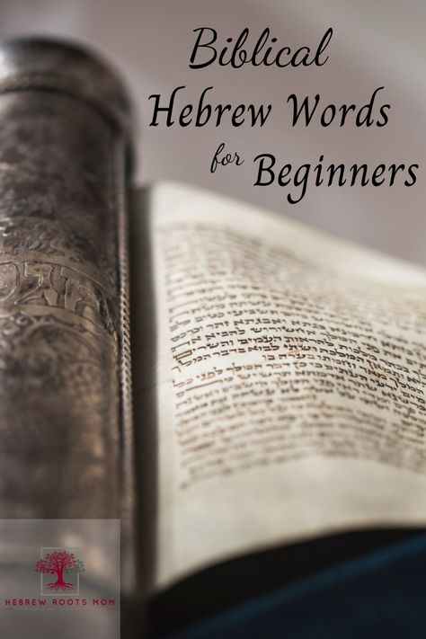 Biblical Hebrew Words, Hebrew Words And Meanings Biblical, How To Learn Hebrew, Hebrew Recipes, Hebrew Learning, Biblical Words, Jewish Inspiration, Hebrew Language Learning, Bible Meaning