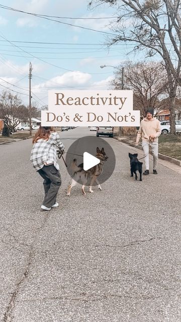 Leash Reactive Dog Training, Dog Growling, Puppy Life, Puppy Tips, Loose Leash Walking, Puppies Tips, Dog Tricks, Reactive Dog, House Training Dogs