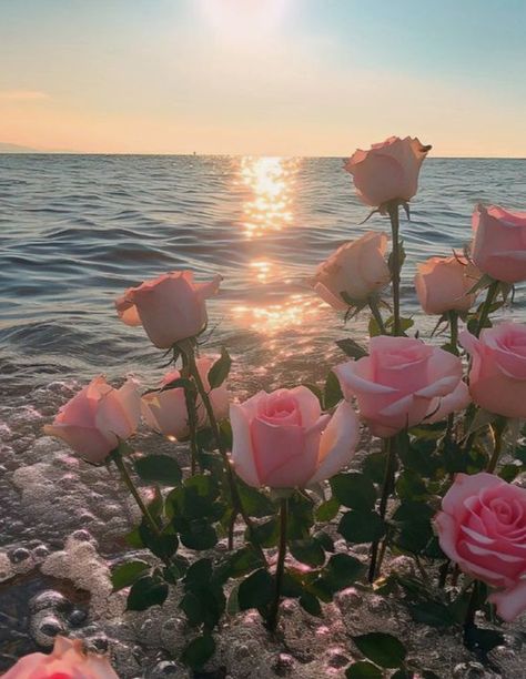 golden hour roses in the ocean, mermaid core sirencore waves sunset pink flowers floating in the water aura dreamy aesthetic divine feminine energy healing water waves bubbles Rosé Core, Nothing But Flowers, Wallpaper Nature Flowers, Adrien Agreste, Pretty Landscapes, Flower Therapy, Pink Sunset, Water Flowers, Nature Aesthetic