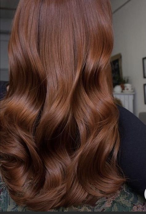 Copper Brown Hair, Light Auburn Hair, Cinnamon Hair, Rambut Brunette, Brown Hair Looks, Brown Hair Inspo, Ginger Hair Color, Hair Color Auburn, Brown Hair Balayage