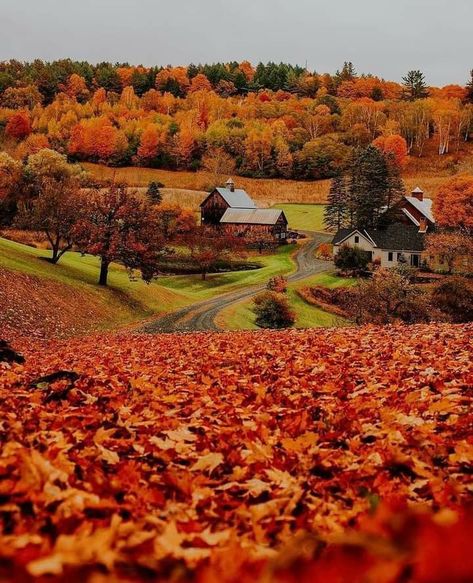 Vermont Farms, Woodstock Vermont, Vermont Fall, New England Fall, Autumn Scenes, Autumn Scenery, Fall Feels, Autumn Beauty, Fall Pictures