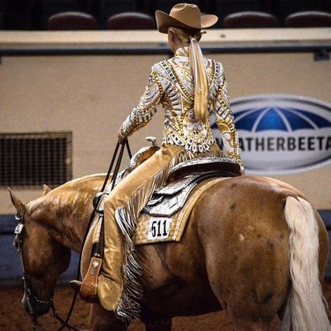 gold on gold on gold Rodeo Queen Horsemanship Outfit, Western Pleasure Rail Shirt, Cowgirl Outfit, Horse Show Shirts Western, Western Pleasure Outfit, Showmanship Outfit, Western Horsemanship, Showmanship Jacket, Western Pleasure Horses