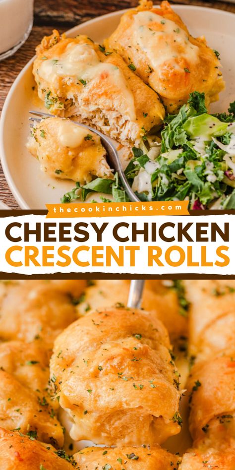 Who wouldn't love these simple chicken crescent rolls for your weeknight dinner recipes? Learn how to make the best crescent roll recipe and knock everyone's socks off. So cheesy, incredibly easy to make, and packed with flavor. So good! Cheesy Chicken Crescent Roll Bake, Essen, Cheesy Chicken Stuffed Crescent Rolls, Cheesy Chicken Crescent Bake, Crescent Roll Chicken Roll Ups, Crescent Chicken Roll Ups, Chicken Crossiant Recipes, Yummy Dinners Recipes, Cheesy Chicken Crescent Rolls