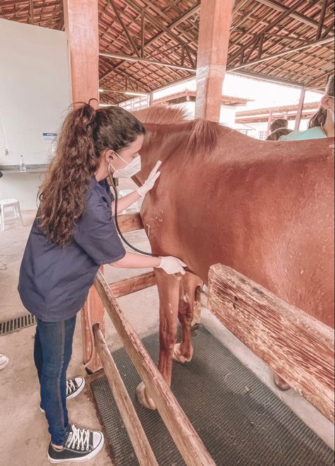 Equine Vet Tech, Vet Pictures, Vet School Motivation, Equine Veterinarian, Vet Tech School, Vet Technician, Equine Veterinary, Veterinary Studies, Large Animal Vet