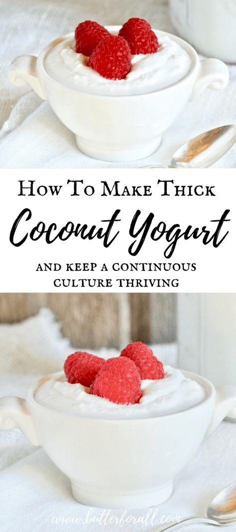 Coconut Yogurt Recipe, Coconut Milk Yogurt, Probiotic Yogurt, Coconut Dessert, Dairy Free Yogurt, Probiotic Foods, Vegan Yogurt, Homemade Yogurt, Yogurt Recipes