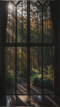 https://pin.it/7aSsJLeCd Foggy Window Flower Wallpaper, Wald Wallpaper, Paradis Sombre, Forest Window, Window Wallpaper, Arte Indie, Forest Photos, Dark Nature Aesthetic, Window Mirror