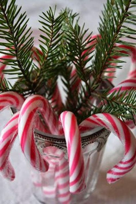 50 Best Candy Cane Christmas Decorations which are the "Sweetest things you've Ever Seen" - Hike n Dip Christmas Candy Cane Decorations, Candy Cane Crafts, Candy Cane Decorations, Candy Cane Christmas Tree, Candy Cane Christmas, Candy Christmas Decorations, Diy Candy, Christmas Door Decorations, Christmas Candy Cane