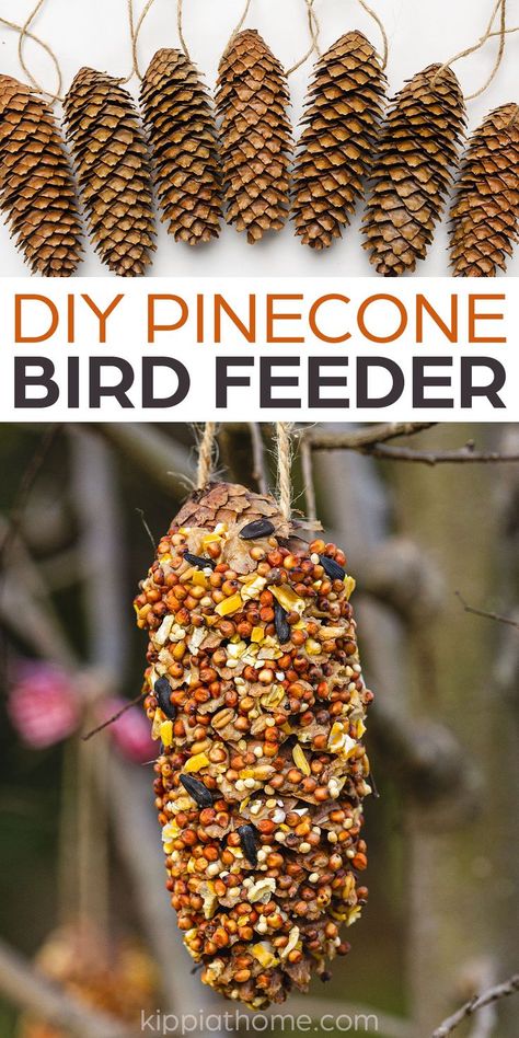 Pinecones with twine on a table. Pinecone covered with peanut butter and bird seeds hanging by a twine string in a tree. Pinecone Bird Feeder, Pine Cone Bird Feeder, Bird Feeder Craft, Fun Winter Crafts, Homemade Bird Feeders, Diy Pinecone, Vegetable Carving, Diy Bird Feeder, Diy Crafts For Adults