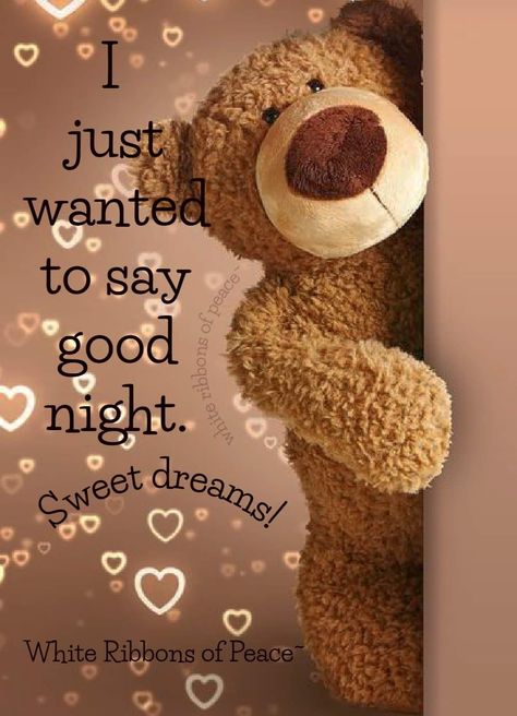 Good Night Thinking Of You, Good Night Bears, Nighty Night Quotes, Cute Good Night Quotes, Good Night Hug, Good Night Sleep Well, Sweet Dream Quotes, New Good Night Images, Good Night Prayer Quotes