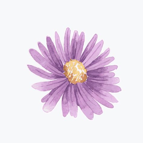 Watercolor purple daisy vector hand drawn sticker element | premium image by rawpixel.com / Niwat Aesthetic Flowers Clipart, Aster Flower Illustration, Purple Daisy Tattoo, Aster Flower Aesthetic, Purple Flowers Drawing, Aster Aesthetic, Aster Flower Drawing, Purple Flower Drawing, Purple Drawings