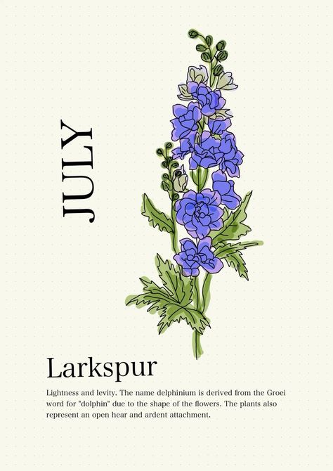 July Flower Birth Month, July Month Flower, Larkspur Flower Drawing, Larkspur Drawing, Best Feminine Tattoos, Larkspur Flowers, Blue Larkspur, Flower Vine Tattoos, July Flower