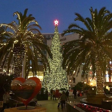 Union Square, San Francisco CA 12-19-16 San Francisco Christmas, Christmas In San Francisco, Union Square San Francisco, California Christmas, Union Square, San Fran, St Francis, Night Aesthetic, Christmas Aesthetic