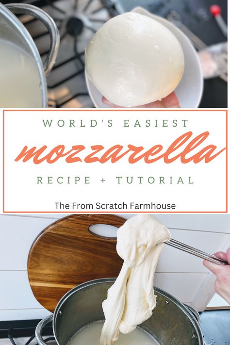 easiest mozzarella cheese recipe Family Milk Cow, Mozzarella Cheese Recipe, Make Mozzarella Cheese, Homemade Mozzarella Cheese, Mozzerella Cheese, Recipes With Mozzarella Cheese, Cheese Recipes Homemade, Homemade Mozzarella, Cheese Making Recipes