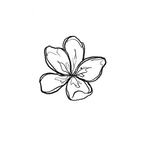 Flower Trio Tattoo, Hibiscus Flower Line Drawing, Frangipani Tattoo Colour, Flower Tattoos Hawaiian, Flower Hibiscus Tattoo, Hibiscus Tattoo Drawing, Hibiscus Flower Vine Tattoo, Origami Flower Tattoo, Plumeria Flower Tattoos Black And White