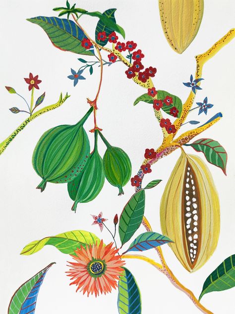 Ruti Shaashua, Tropical Flowers Illustration Botanical Prints, Vintage Fruit Print, Tropical Fruits Illustration, Tropical Garden Illustration, Tropical Fruit Wallpaper, Monkey Wall Art, Gum Tree, Artfully Walls