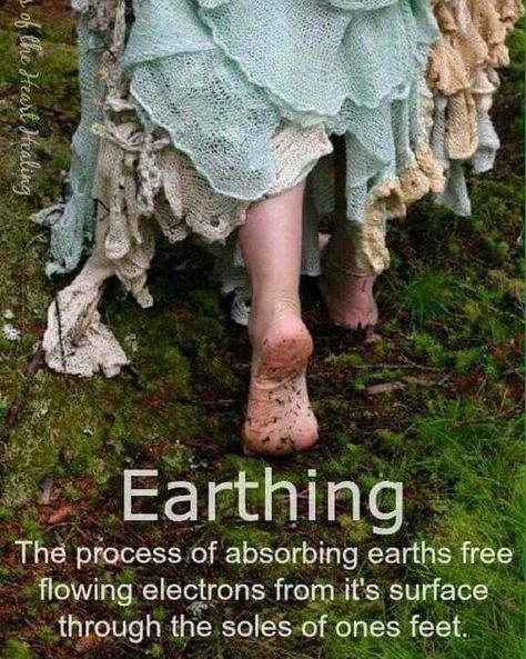 Wild Women Sisterhood, Earthing Grounding, Shamanic Healing, Earth Surface, Hippie Life, Les Chakras, Wild Woman, The Grass, Spiritual Journey